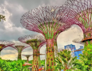 Singapore