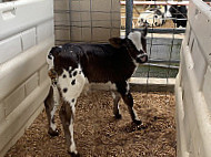 Rogue Creamery Dairy Farm outside