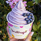 Yogurtland Torrance food