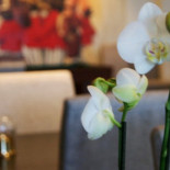 City Familjen Ericssons Mat