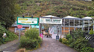 The Tree Shop Cafe outside