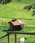 Gasthof Auerberg Restaurant inside