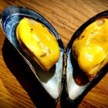 Lyckorna Brygga & Havsbad Inomhus