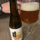 Den Gyllene Räven Ab Mat