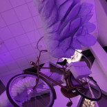 Victoria Tower Utomhus