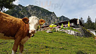 Wuhrsteinalm outside