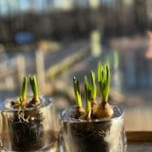 Naturens Hus Café Restaurang Arrangemang Inomhus