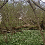 Hembygdsgården Tranås Mat