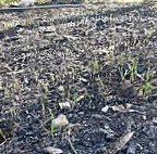 Hembygdsgaarden Karmenkynna Mat