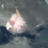 Vellinge Gästis Utomhus