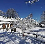 Malga Brigolina outside