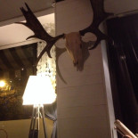 Majo Restaurang Inomhus