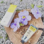 Sotnosen I Fornstugan Meny