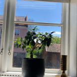 Ågården Restaurang Inomhus