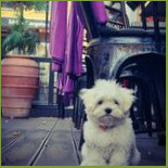 Ved By Maria AB Utomhus