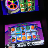 Dala Indiskt Kok Inomhus