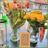 Matstudio S20 Inomhus