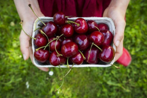 The Big Red Barn, Murray Family Farms food