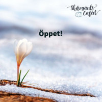 Nya Skaergaardscafeet I Holmsund food