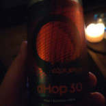 Dcs Whisky Beer Roost-shanty-shelter Mat