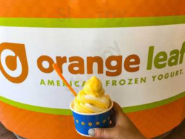 Orange Leaf food