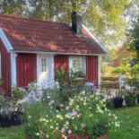Café Gläntebo Mat