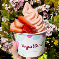 Yogurtland Garland food