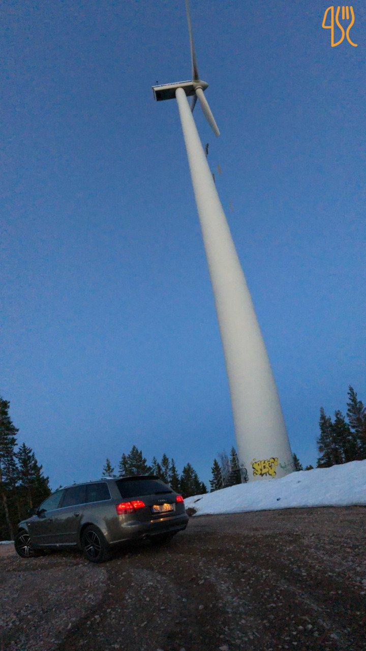 Dalahästen Utomhus
