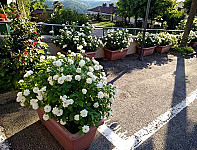 Vineria Del Pozzo outside