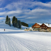 Restaurant Molseralp food