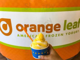 Orange Leaf food