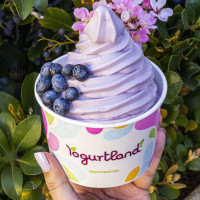 Yogurtland Arvada food