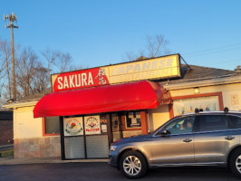 Sakura outside