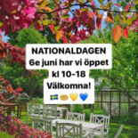 Klockargårdens Våffleri Utomhus