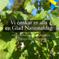 Grangärde Musteri Mat