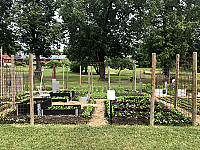 Wij Trädgårdar Utomhus