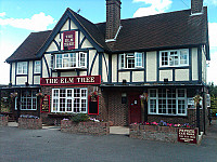 The Elm Tree outside