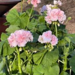 Vattenverket Kottlasjoen Utomhus