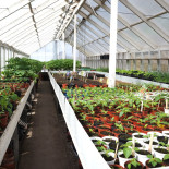 Restaurang Rosängen Utomhus