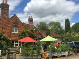 The Surrey Oaks outside