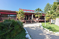 Hippopotamus Steakhouse outside