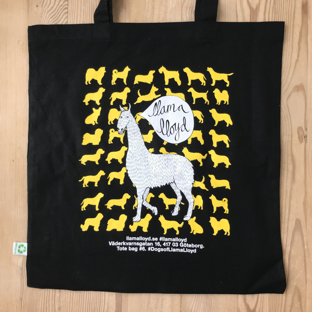Llama Lloyd Inomhus