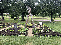 Wij Trädgårdar Utomhus