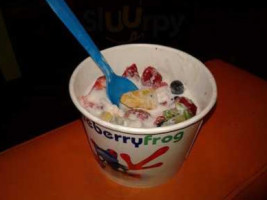 Yogurt Mountain food