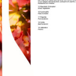 Linnea Basilika Löddeköpinge Meny