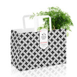 Hemmagastronomi Utomhus