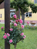 Gasthaus Zum Klosterhof inside