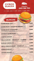 Gyros Burger food