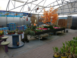 Kilcannon Garden Centre outside