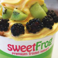 Sweetfrog Premium Frozen Yogurt food